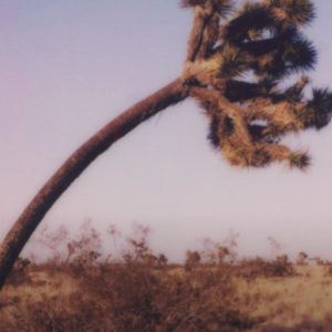 Color 600 Round Frame Film